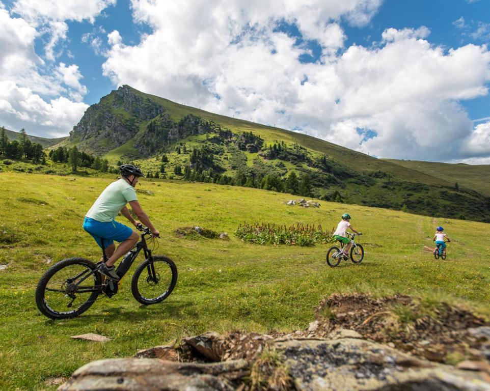 Penthouse Skyview Im Natur-Erlebnispark Bad Kleinkirchheim Patergassen エクステリア 写真
