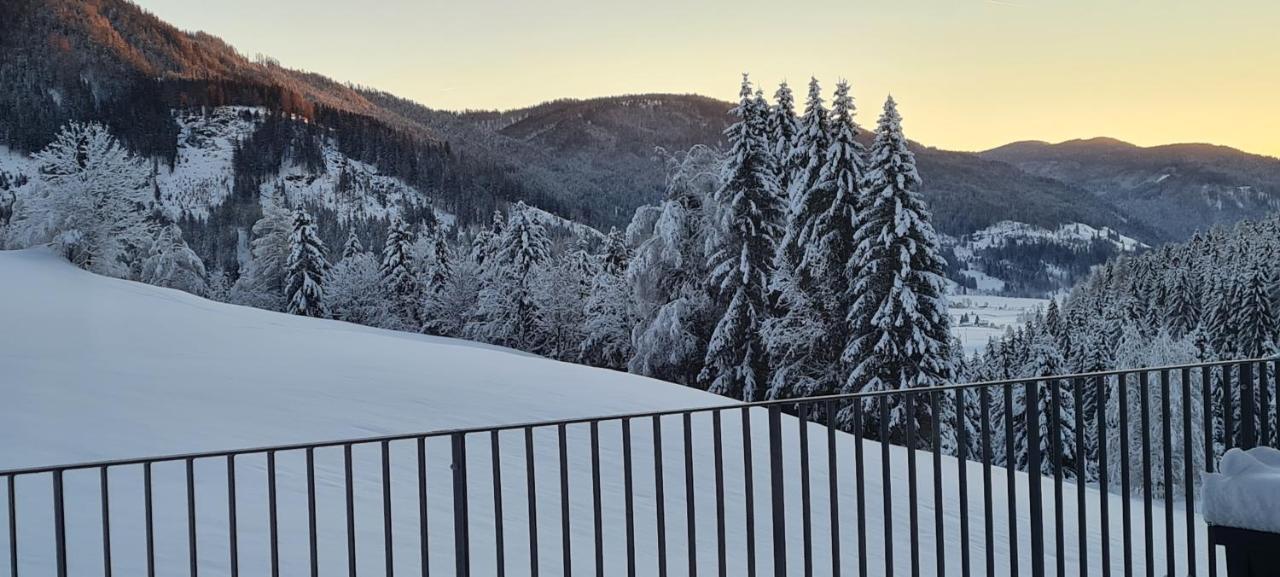 Penthouse Skyview Im Natur-Erlebnispark Bad Kleinkirchheim Patergassen エクステリア 写真